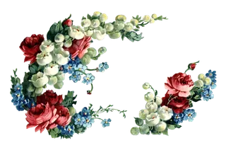 古典花卉png免扣素材