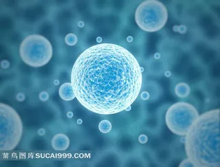 显微镜下的病毒