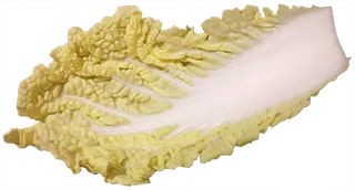 娃娃菜免抠摄影元素素材 