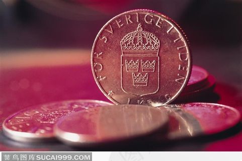 瑞典硬币