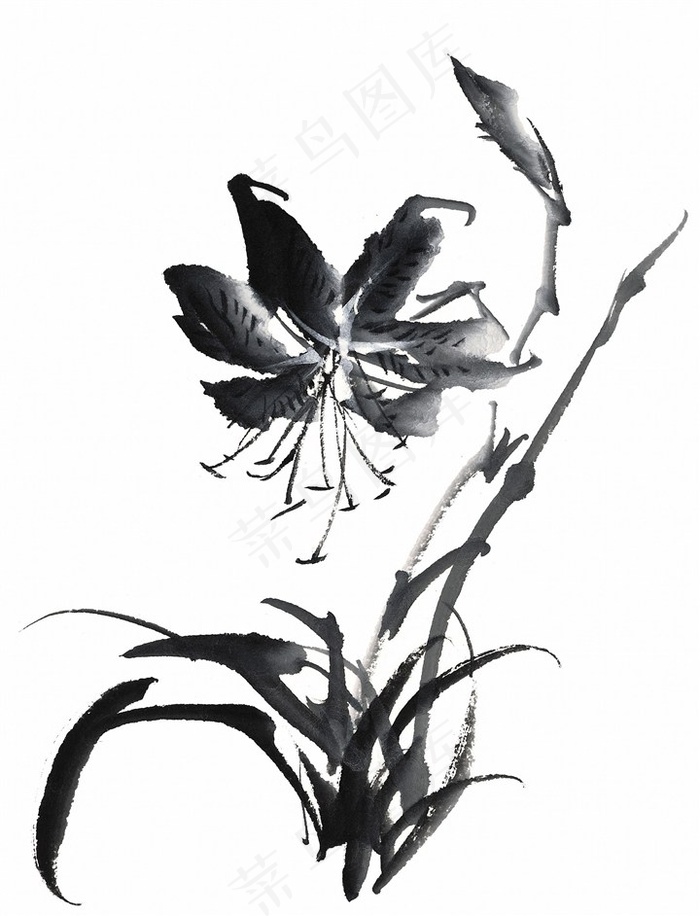 水墨兰花图片素材
