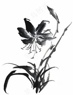 水墨兰花图片素材