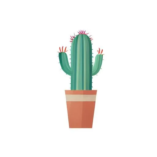 仙人掌花盆免抠(2048x2048)