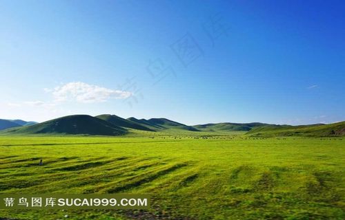 呼伦贝尔草原摄影