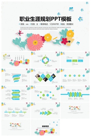 职业生涯规划精美PPT模板 预览图