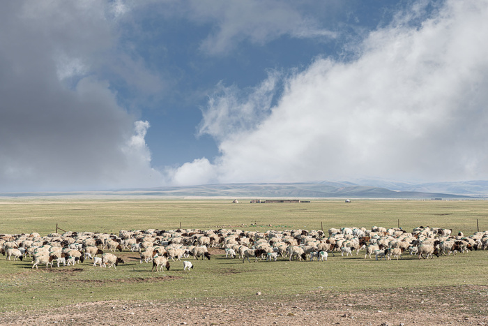 巴音布鲁克草原