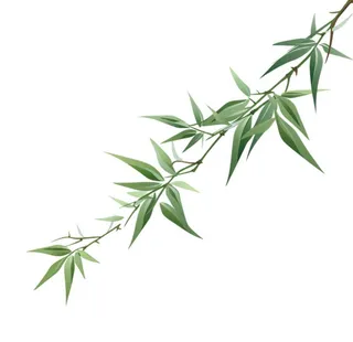 竹叶绿色元素