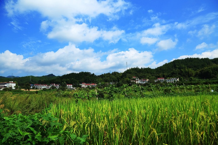 美丽乡村图 美丽的乡村 摄影 旅游摄影 国内旅游 