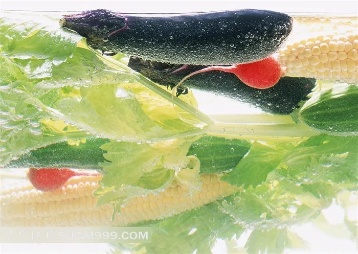 水里的茄子芹菜高清图片