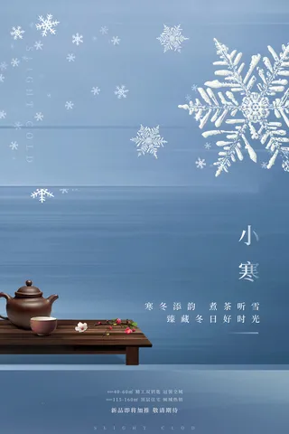 中国传统冬天小寒祝福24二十四节气节日宣传活动海报