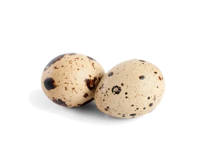 鹌鹑蛋 (超市商品白底图免抠实物摄影png格式图片透明底326