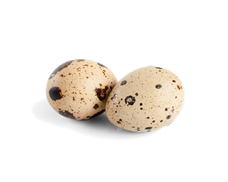 鹌鹑蛋 (超市商品白底图免抠实物摄影png格式图片透明底326