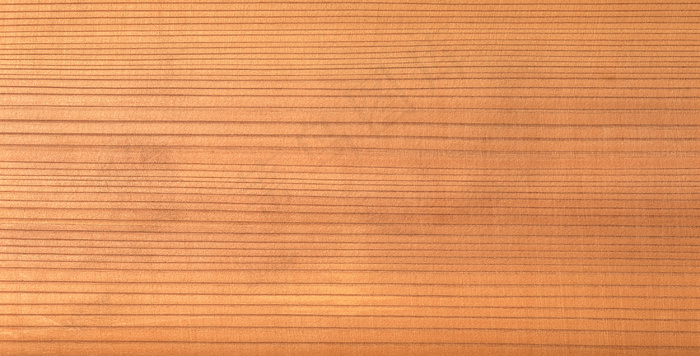 底纹 1491