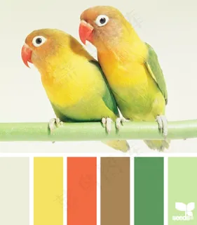 动物配色色卡色彩搭配 动物配色色卡色彩搭配