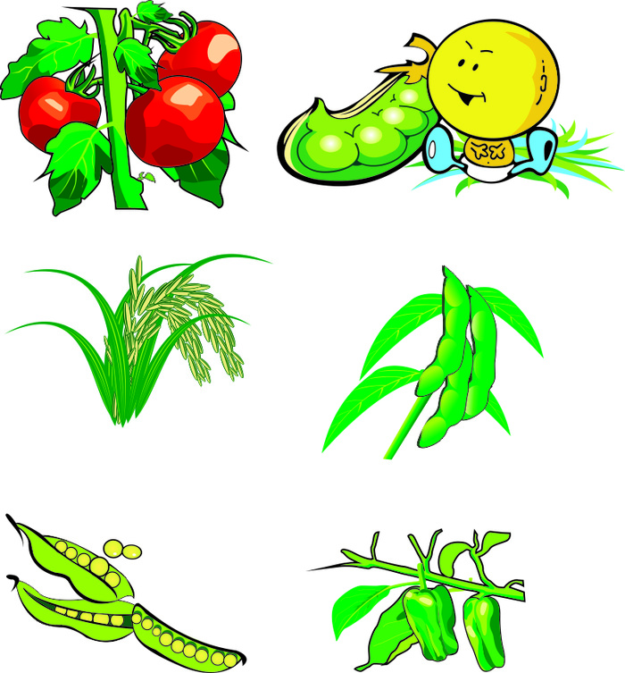 免抠各种蔬菜