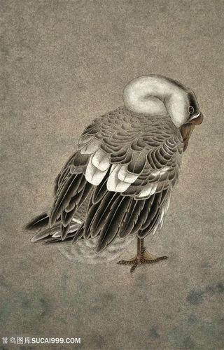 高清复古鸭子时尚装饰画