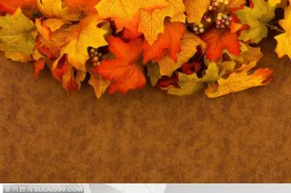 秋季枫叶边框素材背景底纹