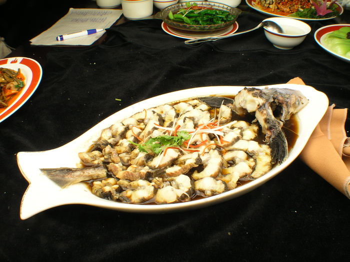 2890鲟鱼