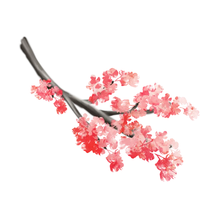 春天浪漫粉红色樱花手绘樱花梅花桃花花朵图片PNG免扣素材