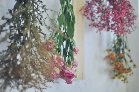 我爱我的工作室 我爱我的工作室