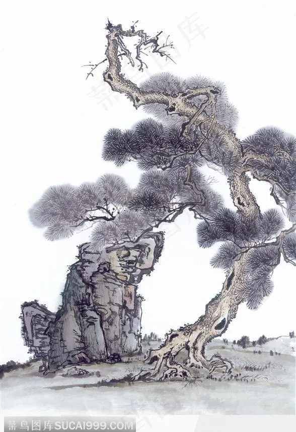 苍劲的青松图