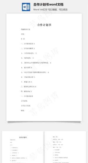 合作计划书word文档