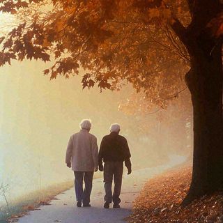 父母年长老人父亲节母亲节温馨落日背影