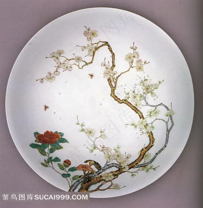 精美花鸟图案磁碟高清素材
