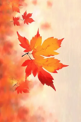 秋叶橙红色意境大气背景