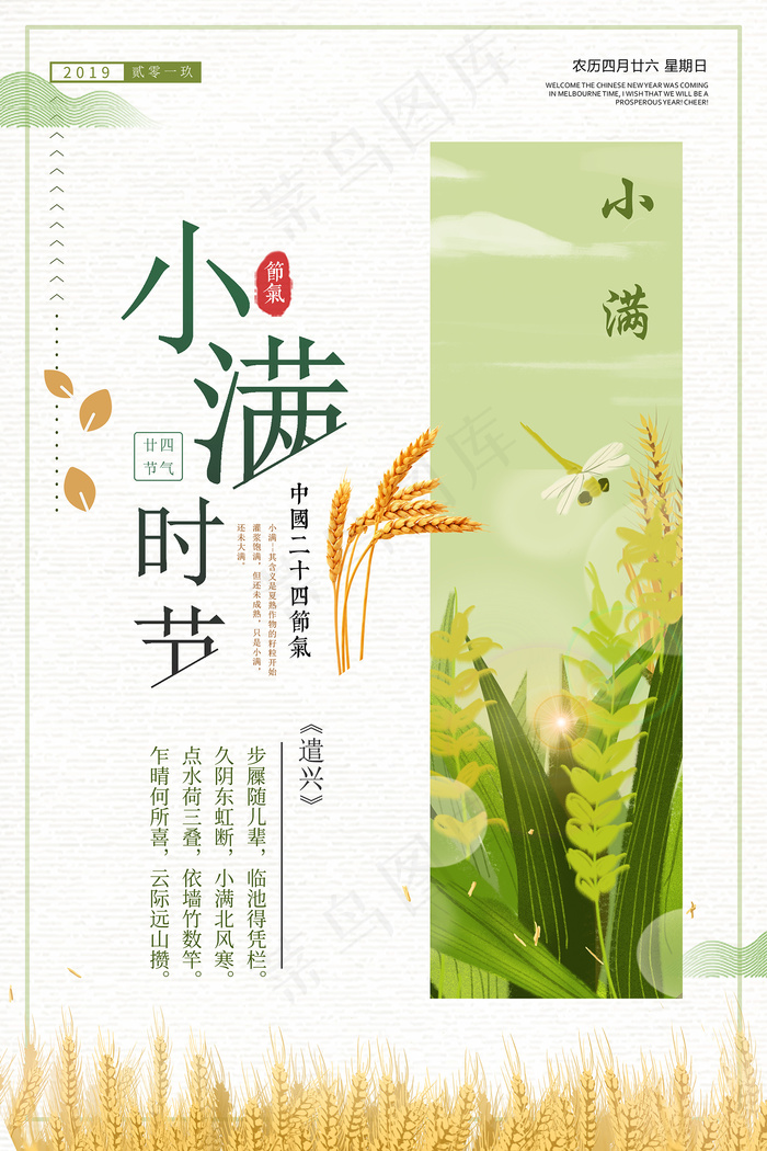 清新二十四节气小满节日海报psd模版下载