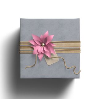 花包装盒vi样机免抠png素材