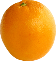 99_orange_PNG752