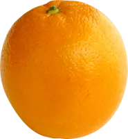 99_orange_PNG752