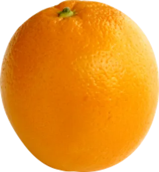 99_orange_PNG752