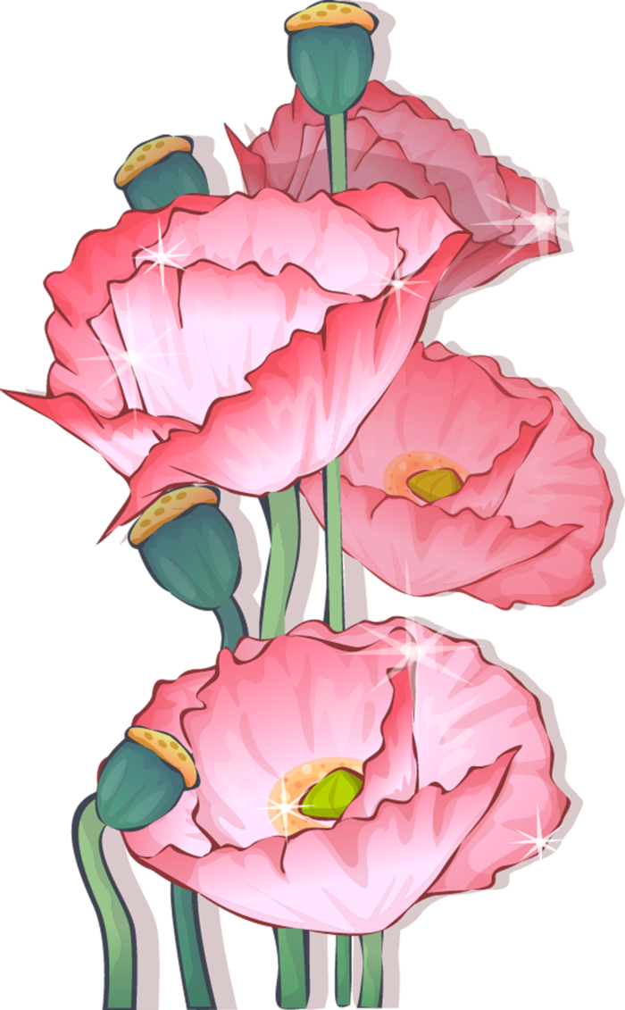 夏季荷花莲花植物免抠 