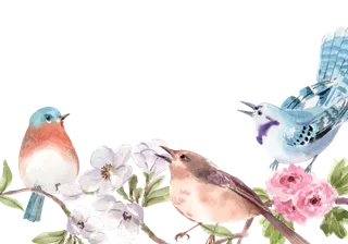 插画春鸟免抠素材