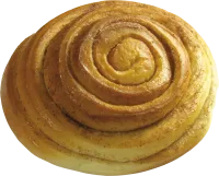 29_bun_PNG13758