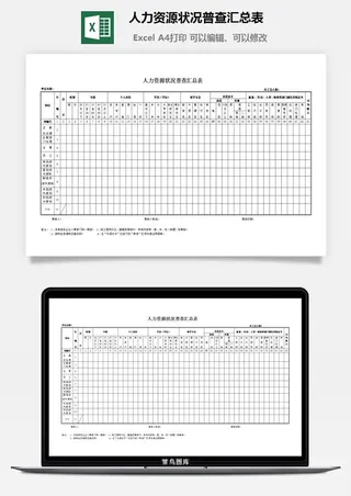人力资源状况普查汇总表excel模板