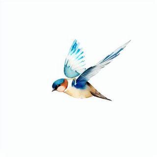 燕子png免抠