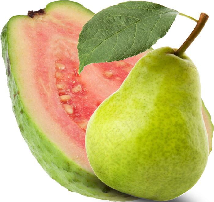 番石榴免抠素材 (43)