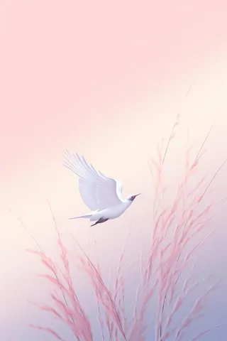 粉色渐变意境创意节气海报背景