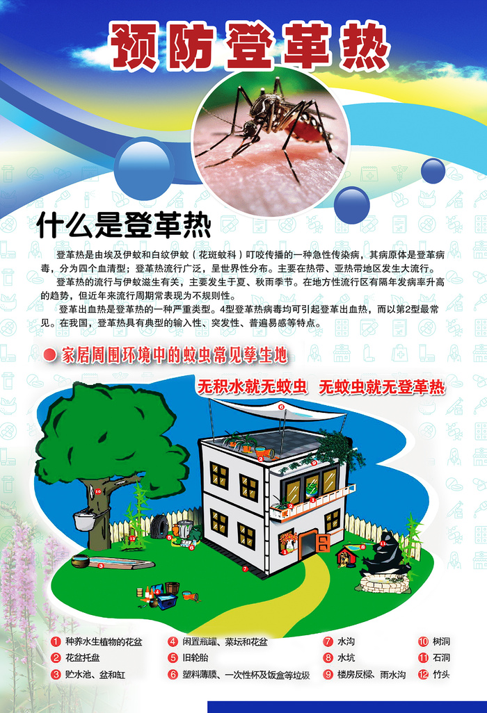 预防登革热宣传系列挂图海报psd模版下载