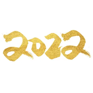 2022虎年新年国潮手写艺术字体春节海报数字设计png免扣图psd素材