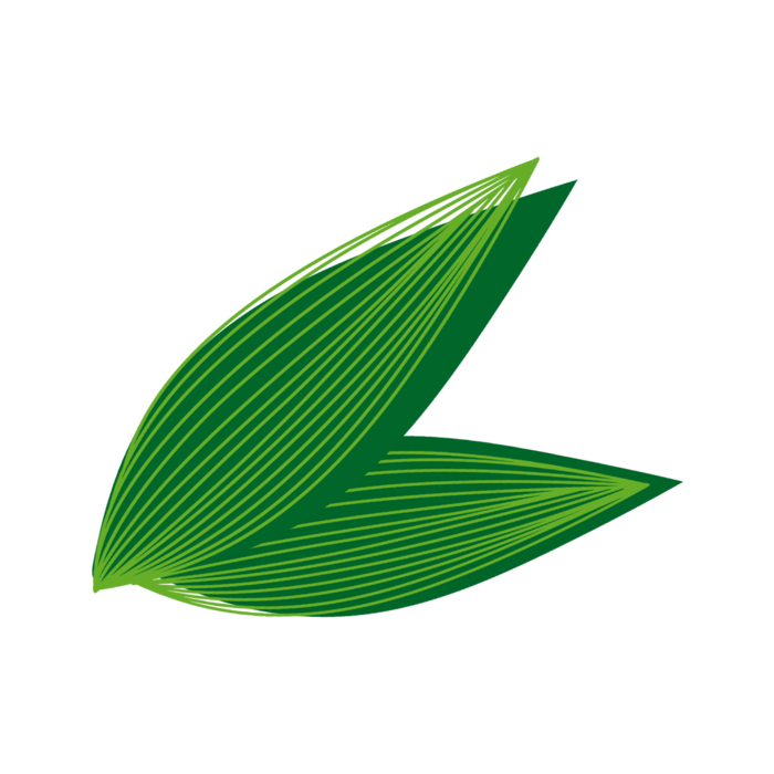 浓情端午  端午节