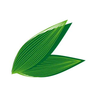 浓情端午  端午节