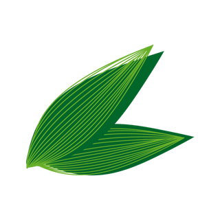 浓情端午  端午节