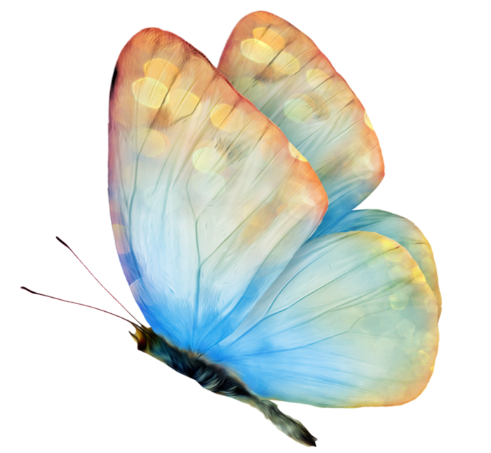 卡通动画动画蝴蝶免扣PNG手绘插画图片素材 (100)