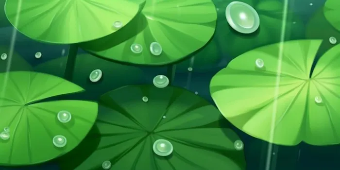 绿色水草荷叶背景(1536x768)