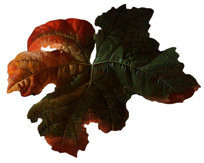 复古油画质感宫廷花卉植物花朵鲜花拼贴图案PNG免抠图片设计素材