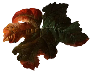 复古油画质感宫廷花卉植物花朵鲜花拼贴图案PNG免抠图片设计素材